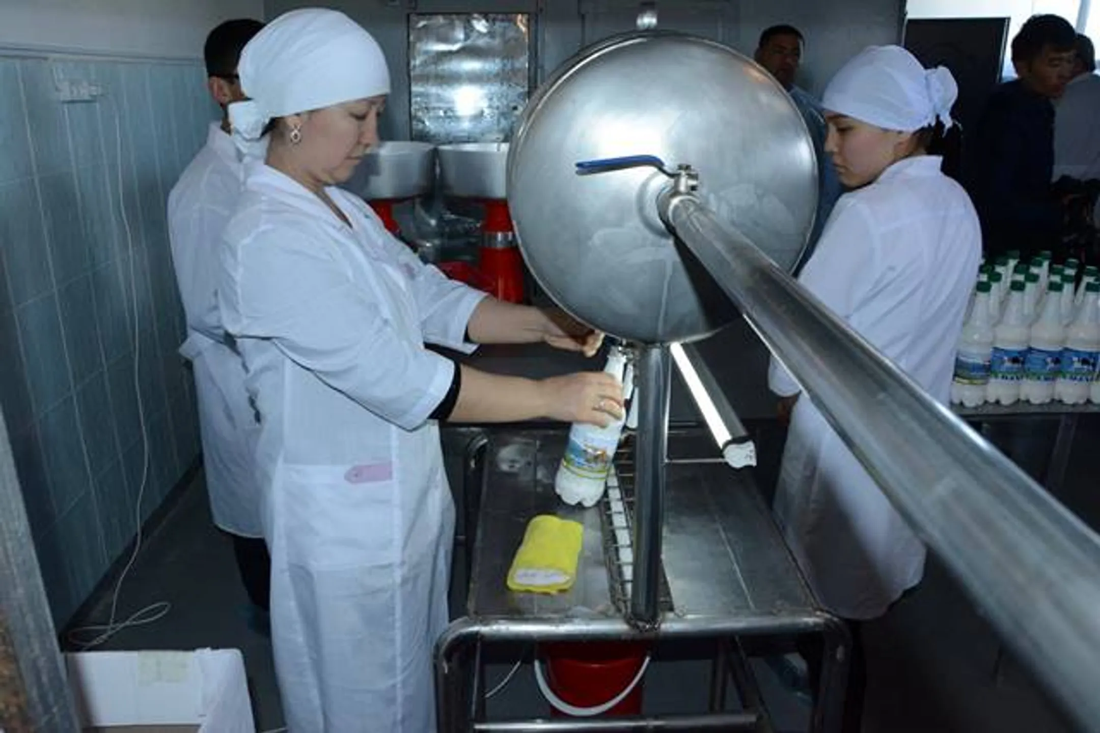 В Южном Казахстане будут производить йогурт из верблюжьего молока - Image Kapital.kz