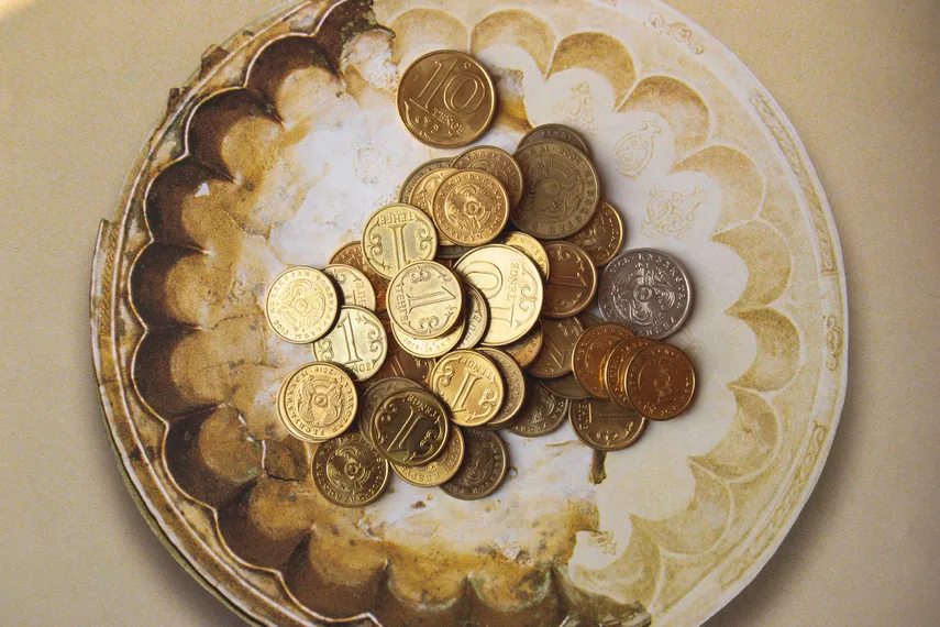 Фото: Валерия Змейкова