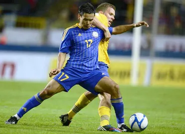 Неприступная шведская стенка