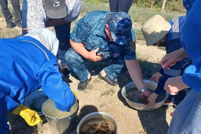 Фото: ҚР Ауыл шаруашылығы министрлігі