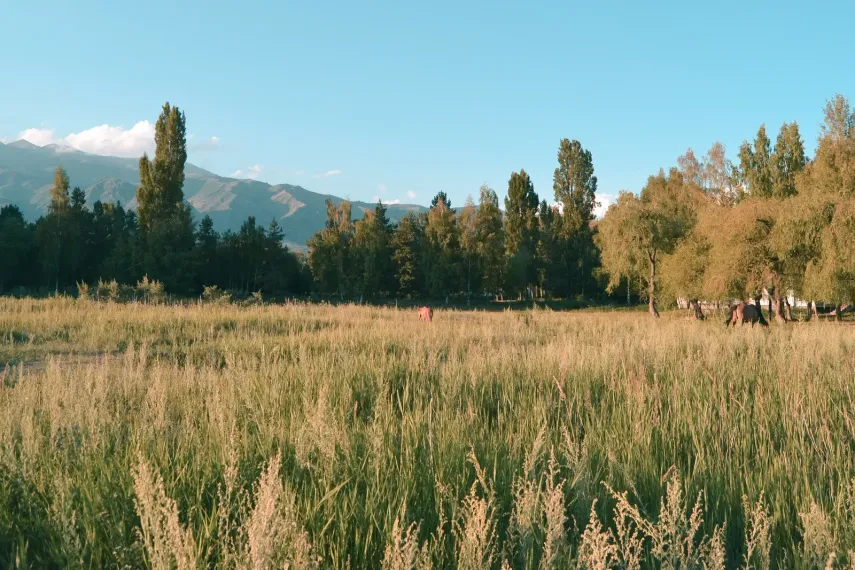 Фото: Валерия Змейкова 