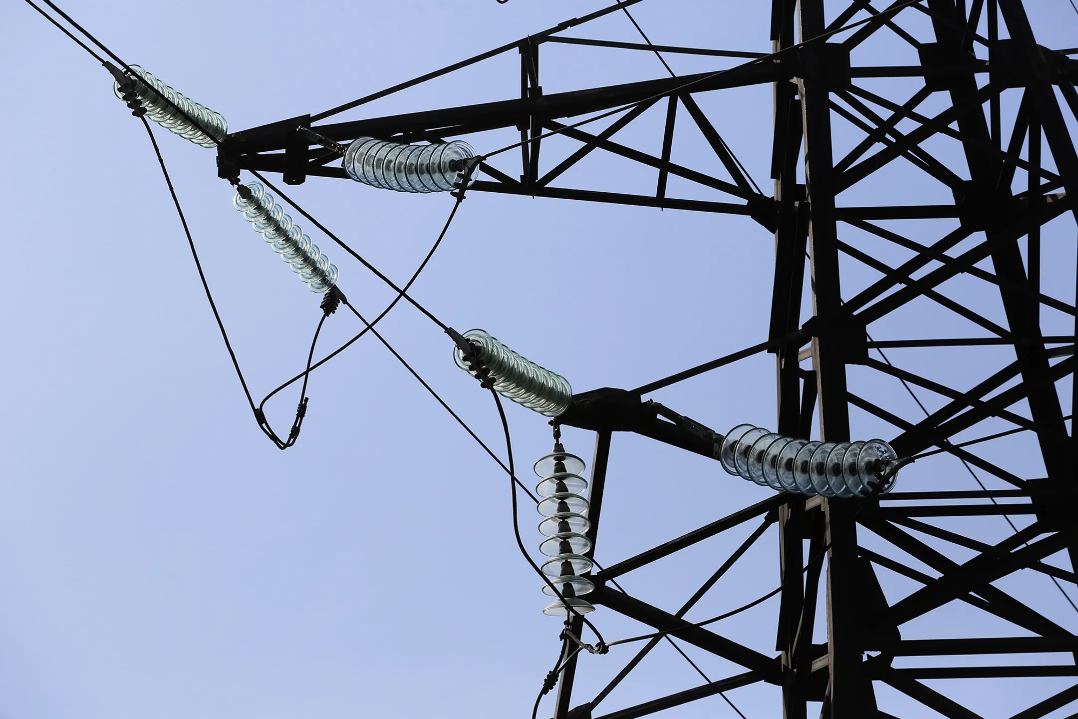 Фото: Руслан Пряников