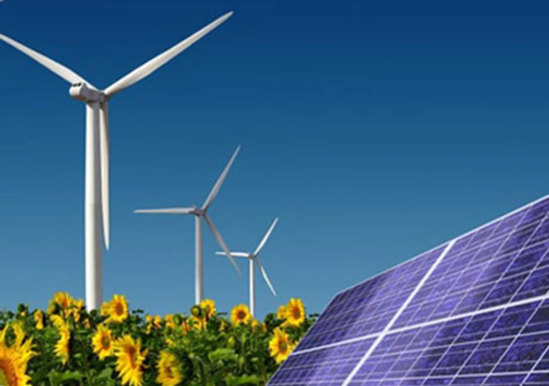 Капитал - К 2030 году использование возобновляемых источников не превысит 5%