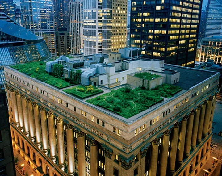 Капитал - В США строят парки на крышах небоскребов
