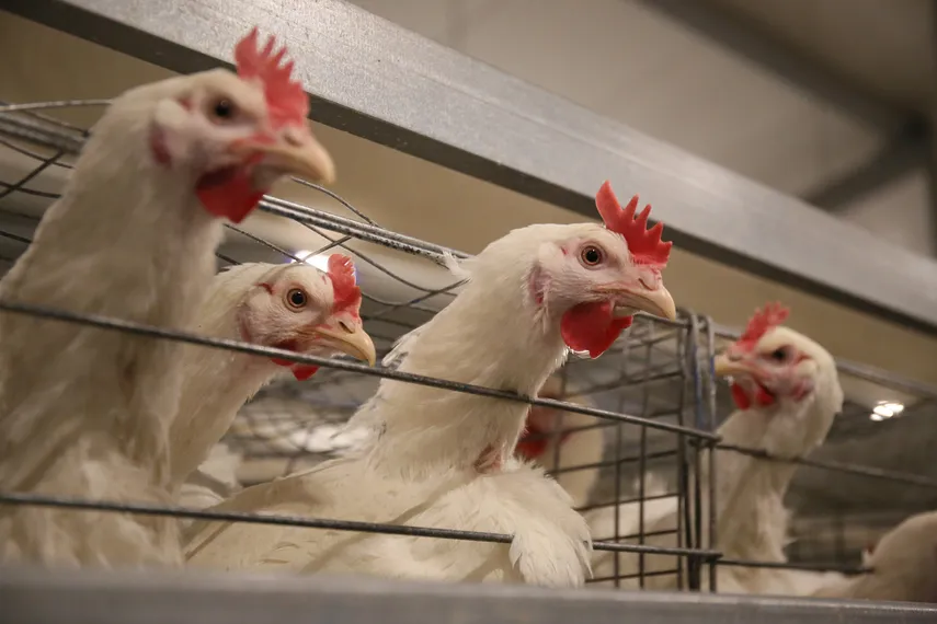 Фото: Руслан Пряников