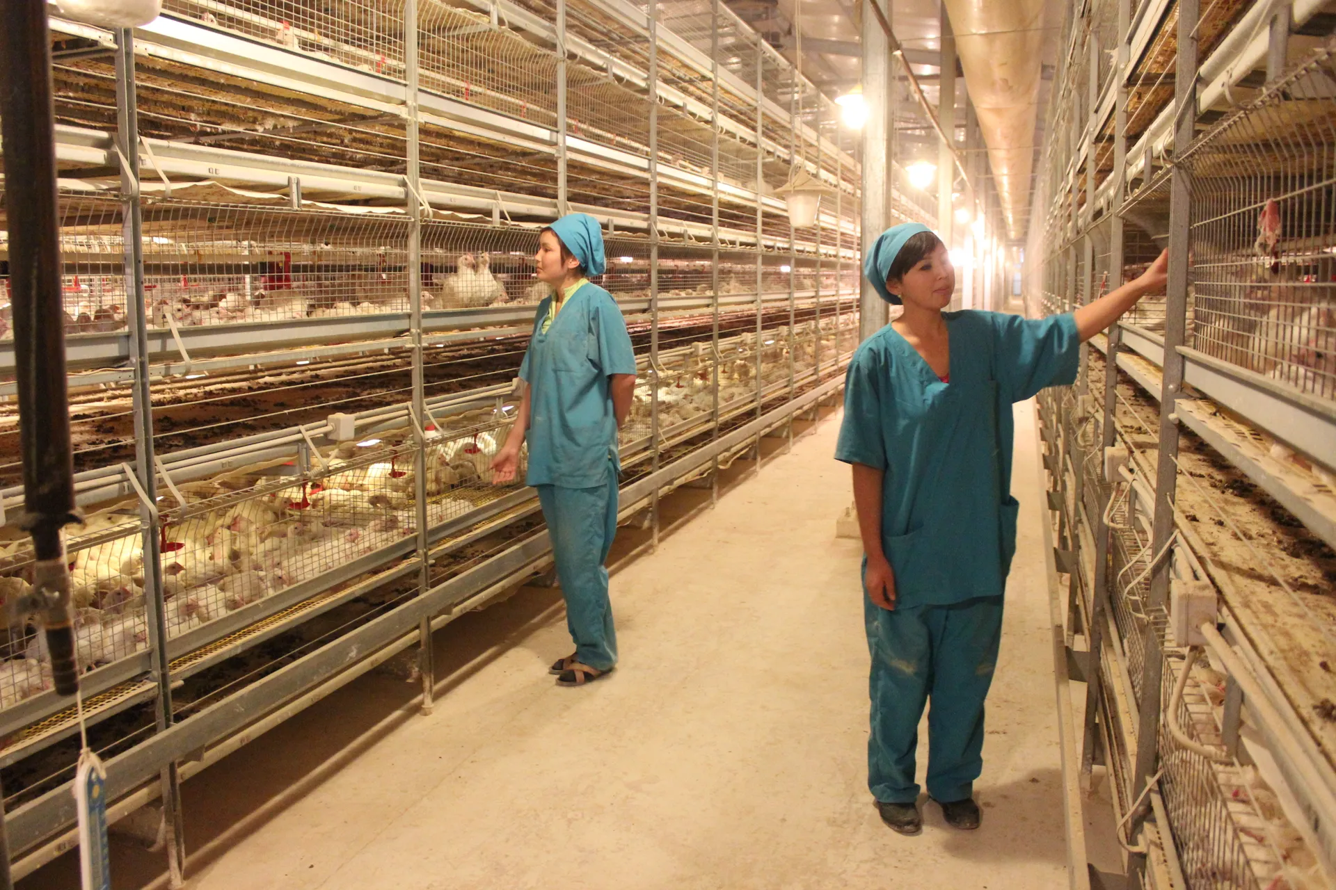 Капитал - В сельхозпереработке следует запустить 10 крупных проектов