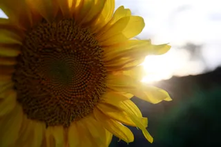 Фото: Руслан Пряников