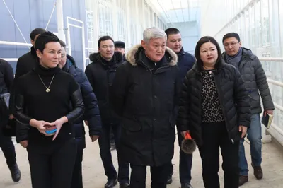 В Актобе запущен новый тепличный комплекс