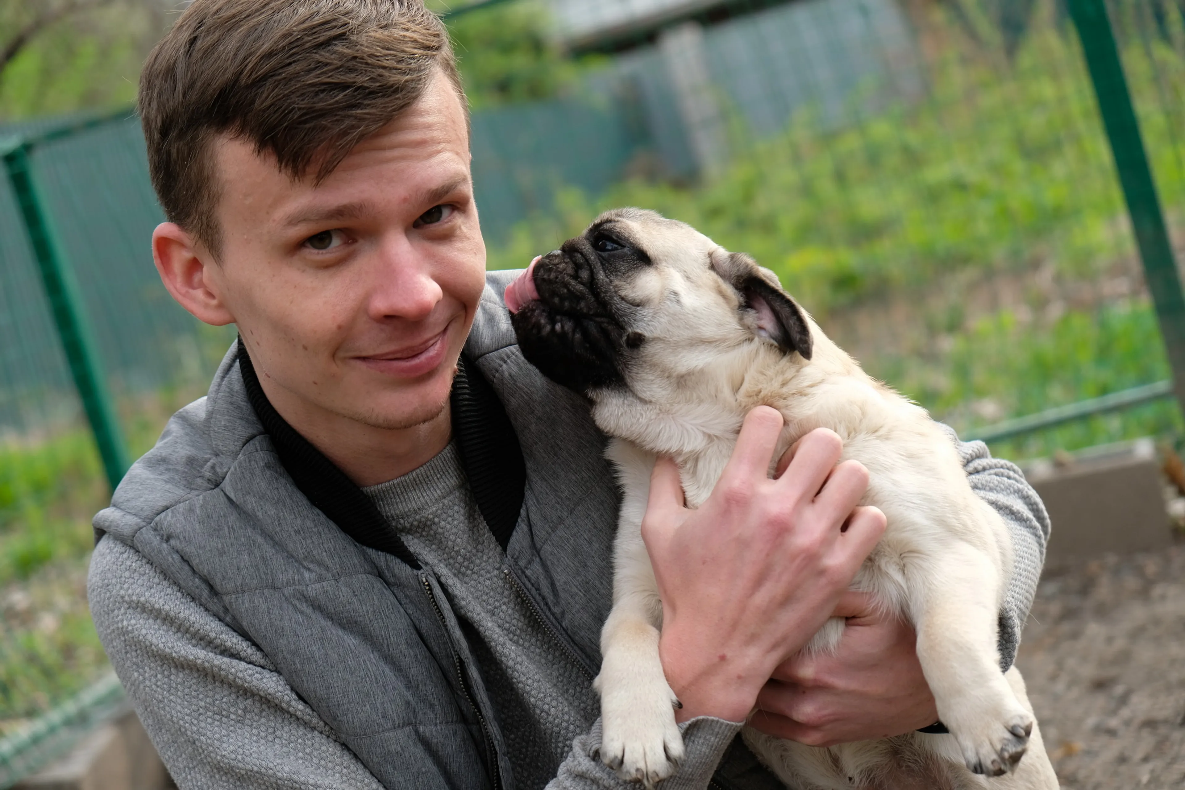 Капитал - Как Puppy.kz продвигает зоогостиницу в Алматы