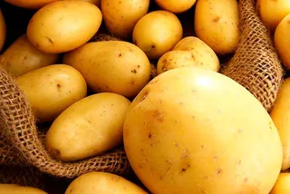 Капитал - Картофель из Павлодара поедет в Россию