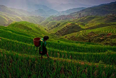 Китай скоро скупит Украину