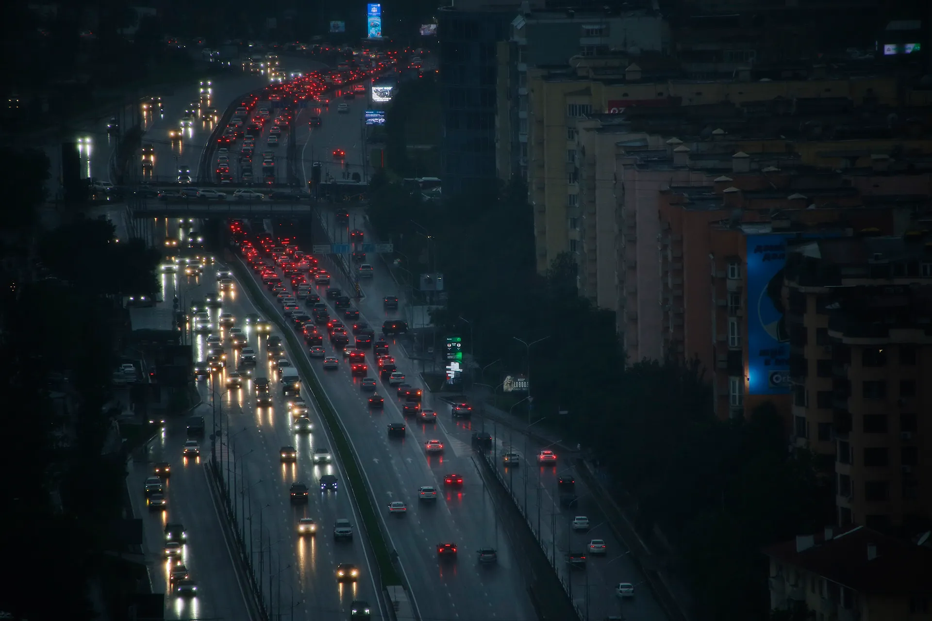 Фото: Руслан Пряников