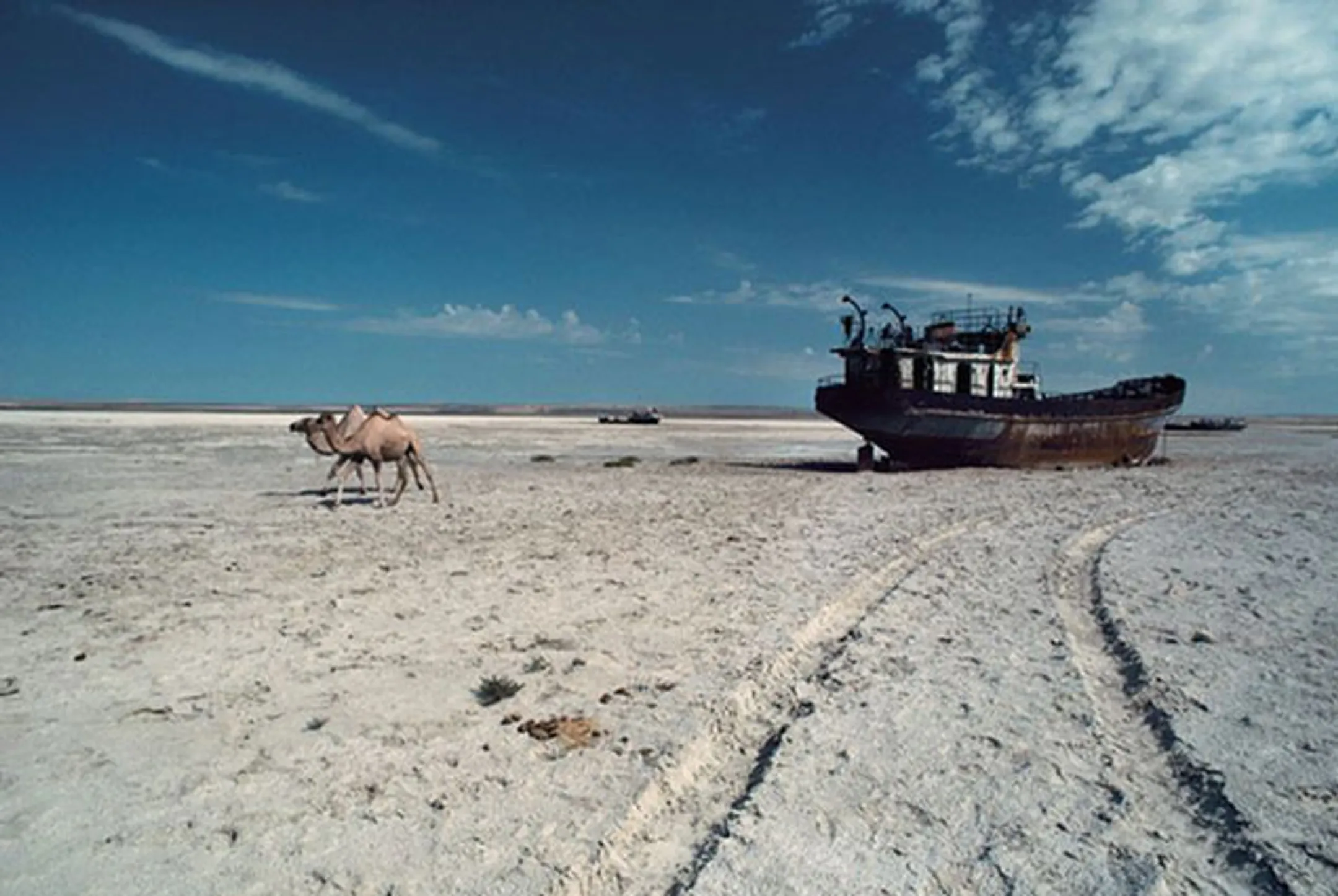 Узбекистан направит $3 млрд на спасение Арала - Image Kapital.kz