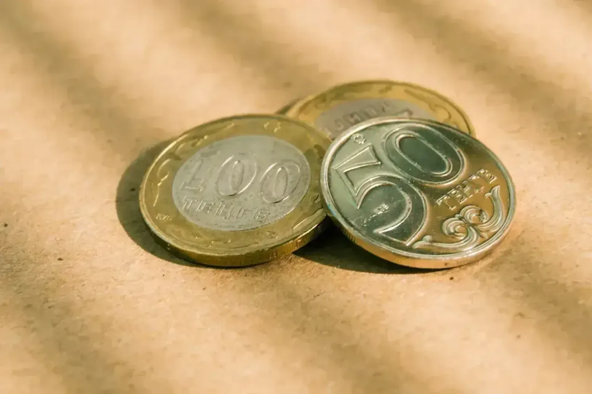 Фото: Валерия Змейкова