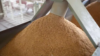 Фото: МСХ РК