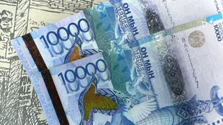 Фото: Валерия Змейкова