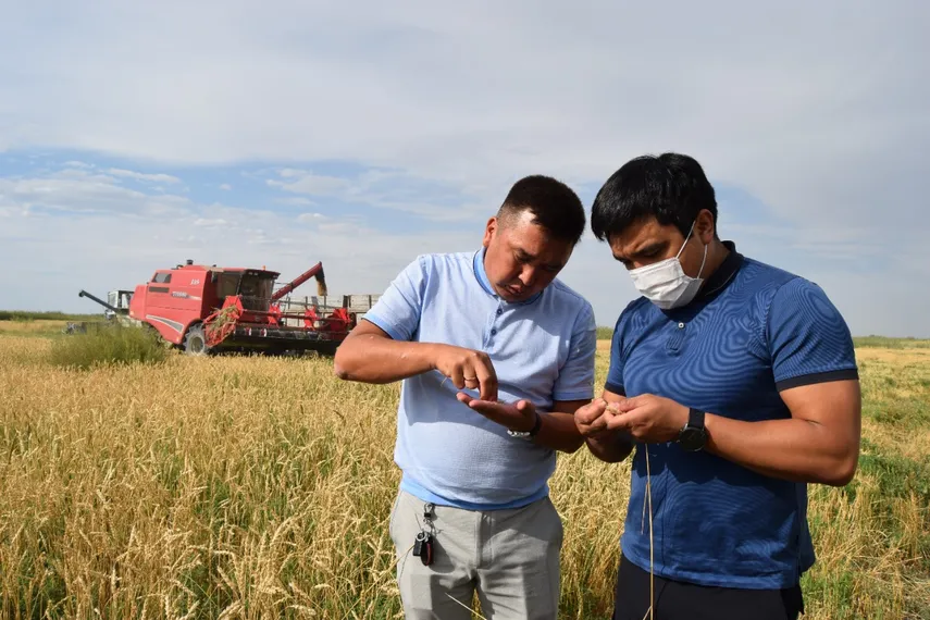 Капитал - Фермеры будут поставлять продукцию по фиксированной цене