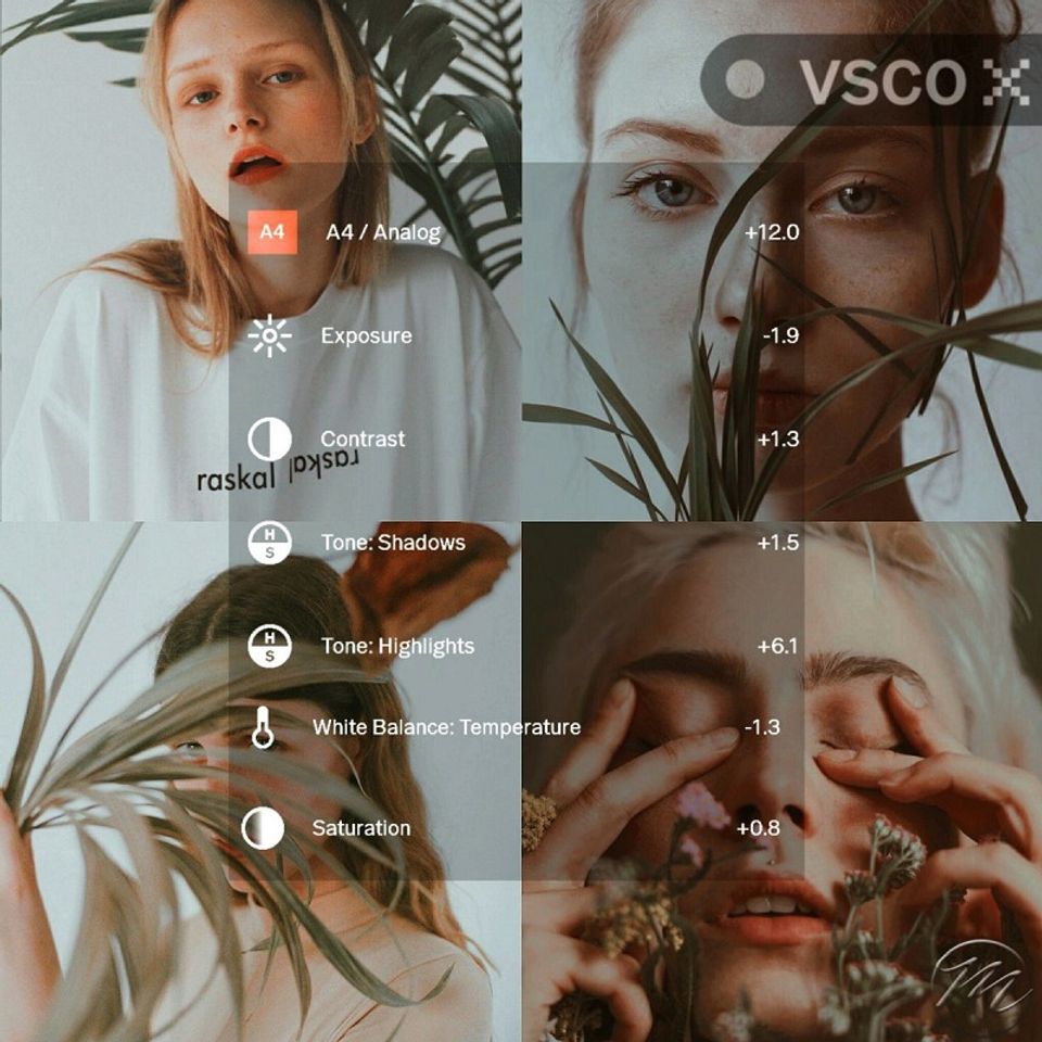 Что помогло VSCO стать лучшим «пленочным» фоторедактором 3393301 - Kapital.kz 