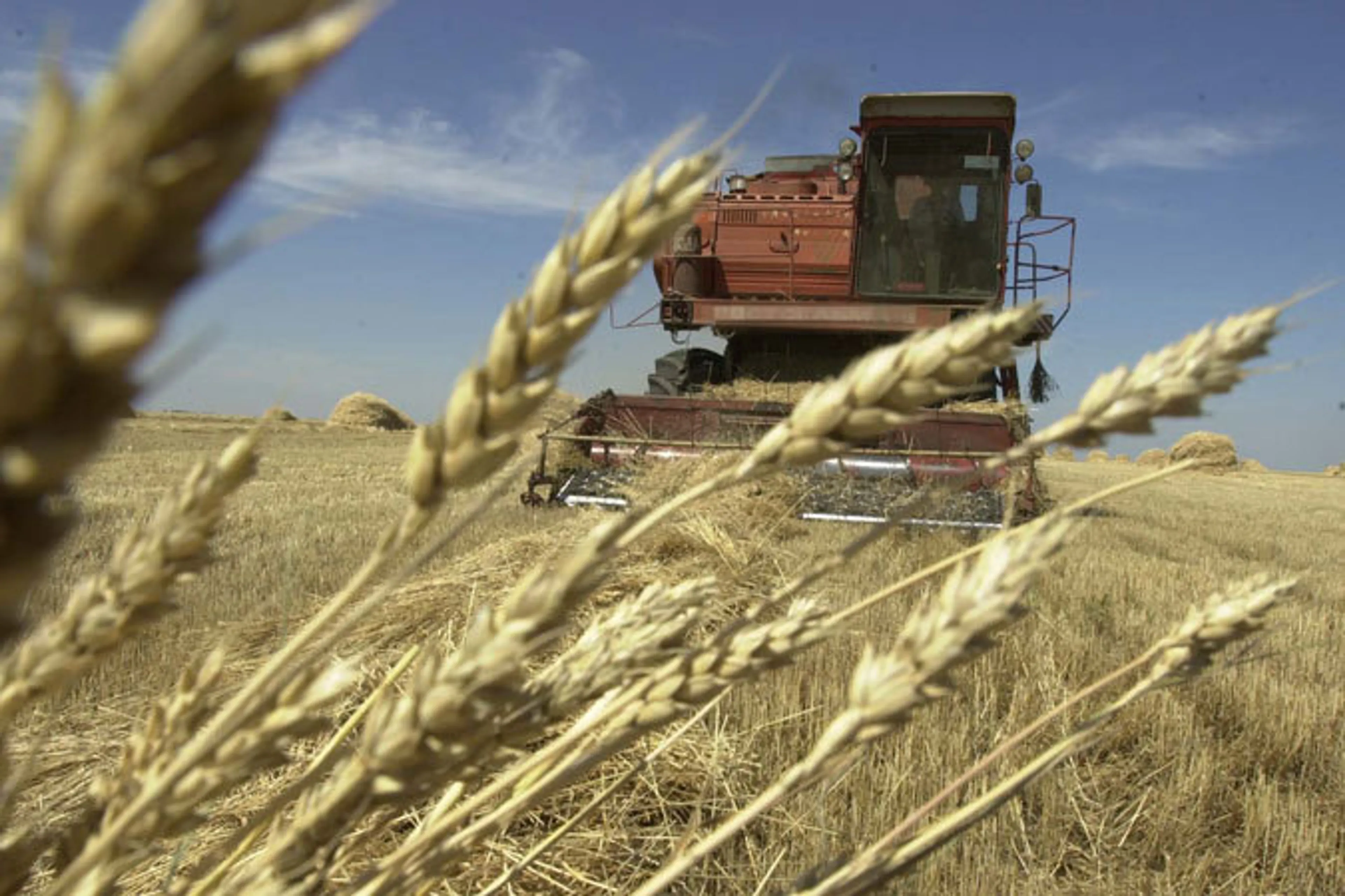 Капитал - Аграрии подали свыше 300 заявок