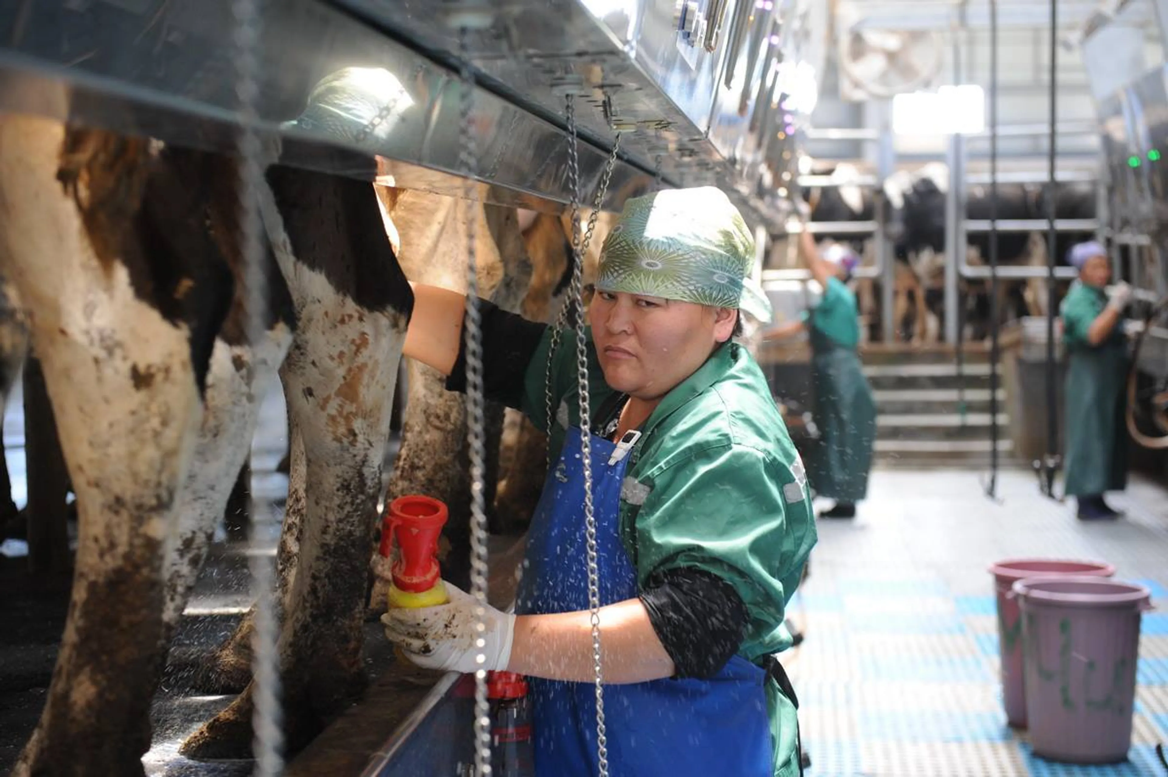 Капитал - В программе развития АПК необходимо сместить акценты