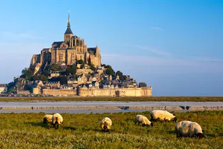 Капитал - Участки по 1 евро за кв. метр начали продавать во Франции