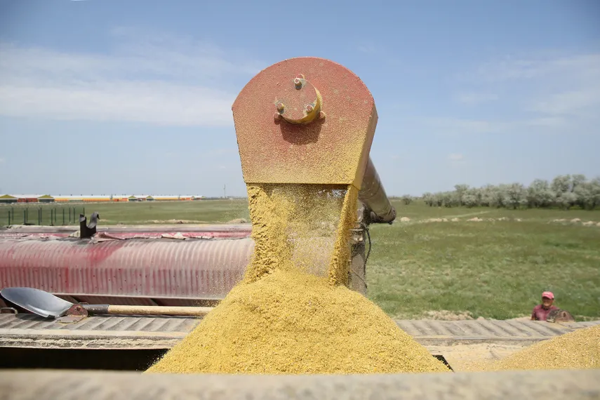 Фото: Руслан Пряников