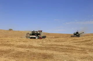 Фото: Руслан Пряников