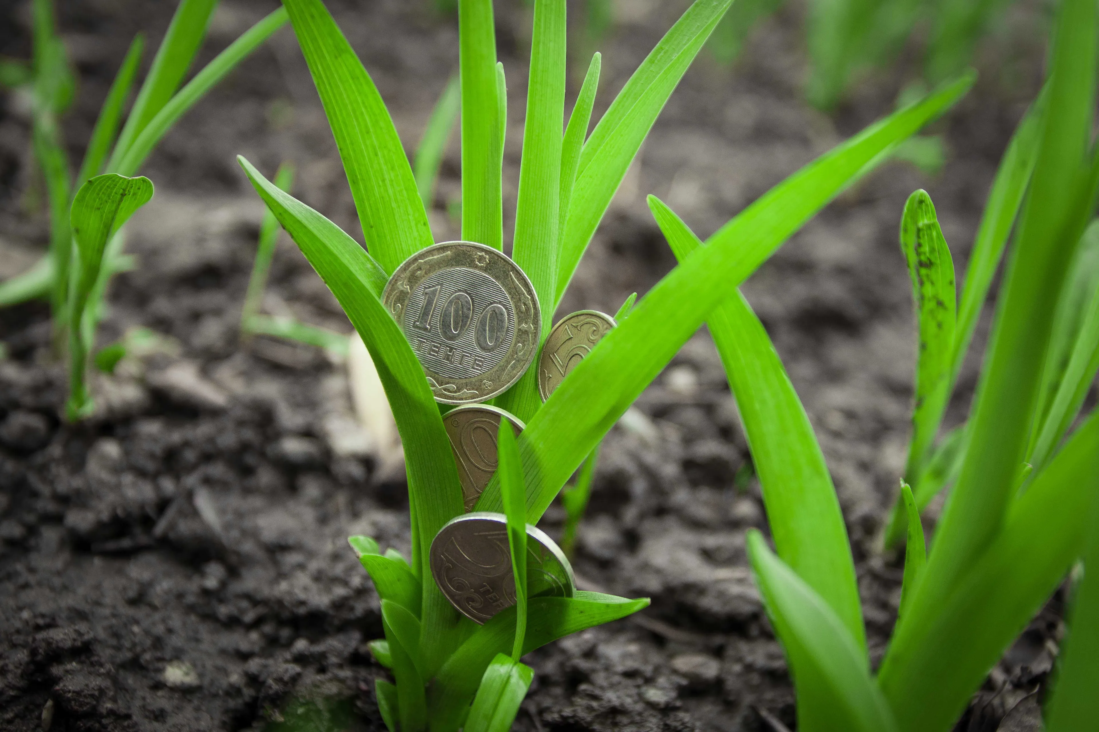 Капитал - Акимат Караганды выставил на торги 44 земельных участка