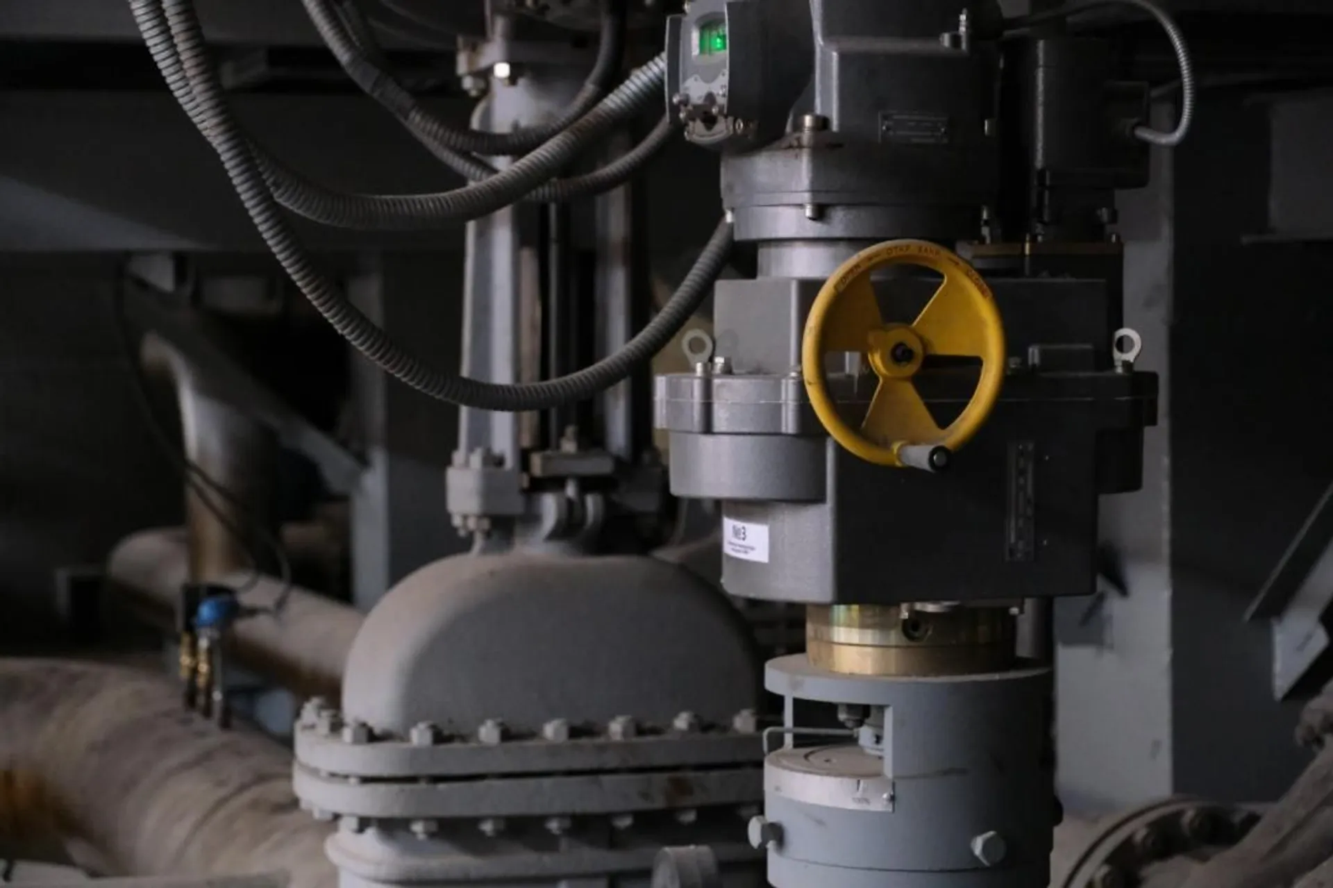 Фото: акимат