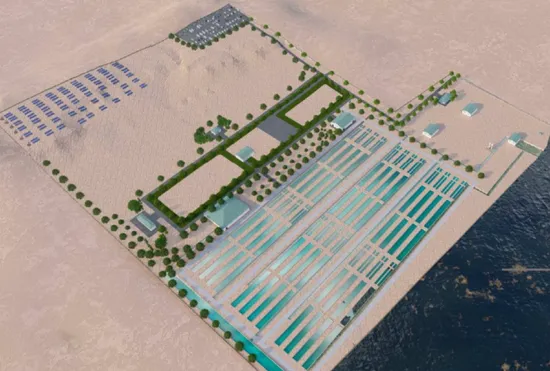 Фото: пресс-служба Мангистауской области 