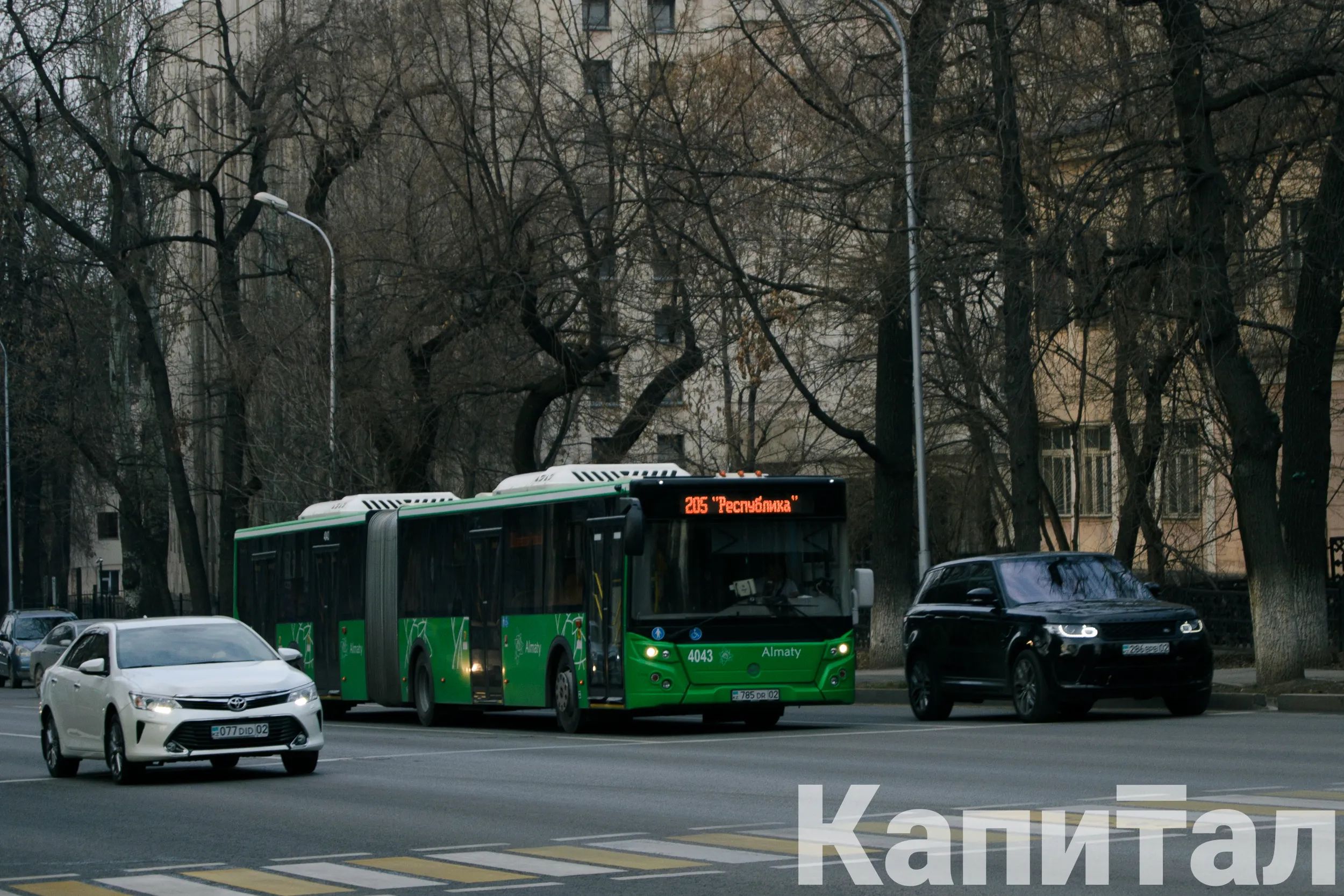 Фото: Валерия Змейкова