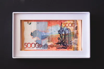 Фото: Валерия Змейкова