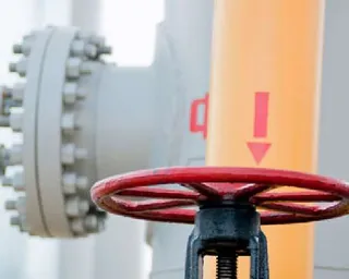 Капитал - На заводе Biohim произошла утечка ядовитого газа