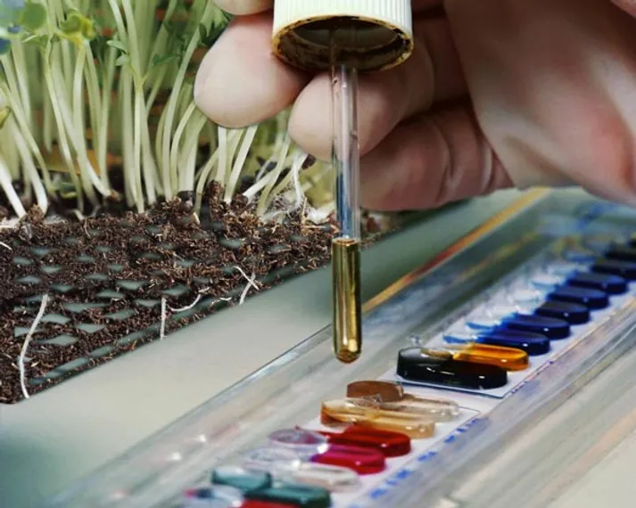 Капитал - Эксперты изучают почву и воду возле Байконура