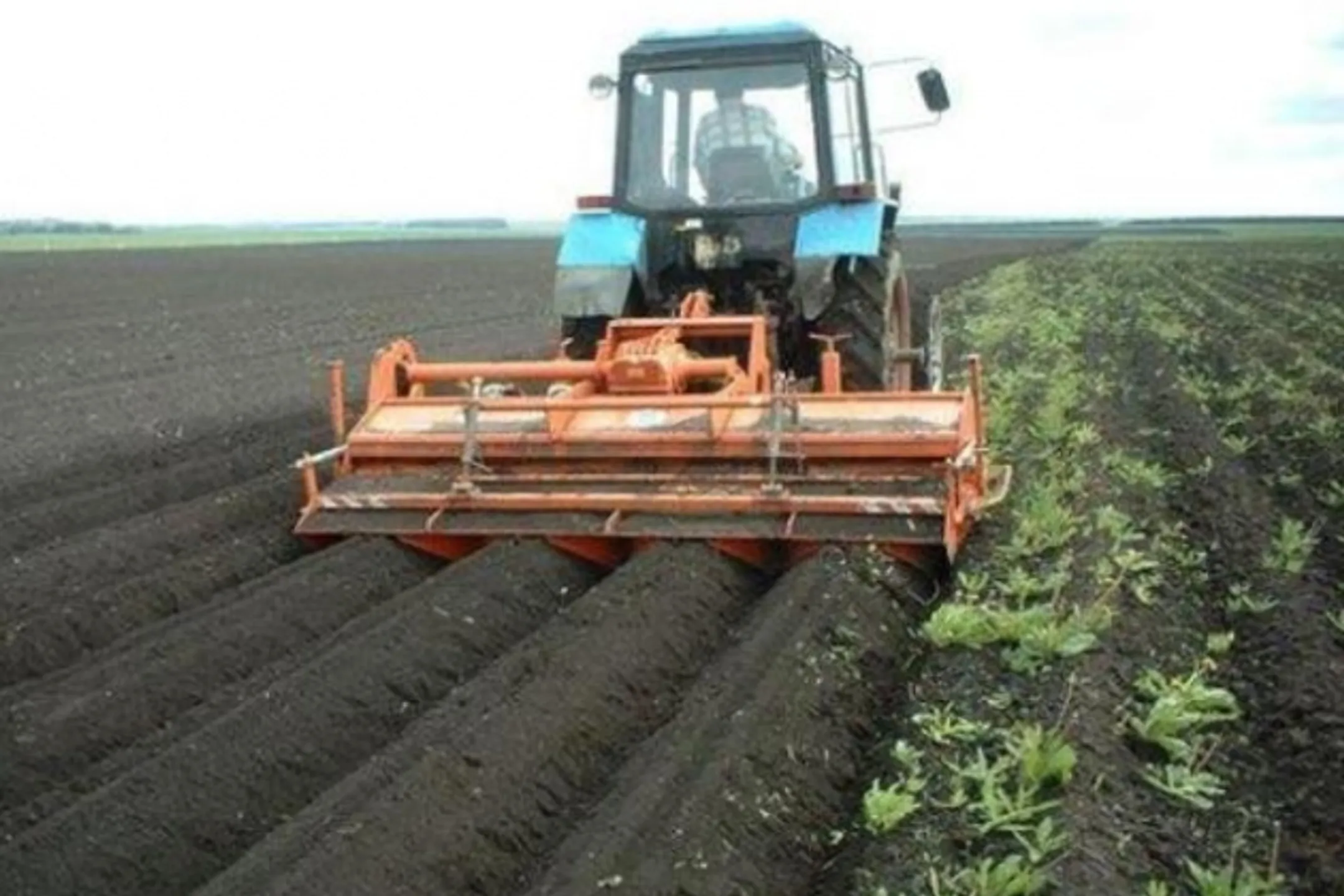 25 лет аренды земли назвали разумным сроком - Image Kapital.kz