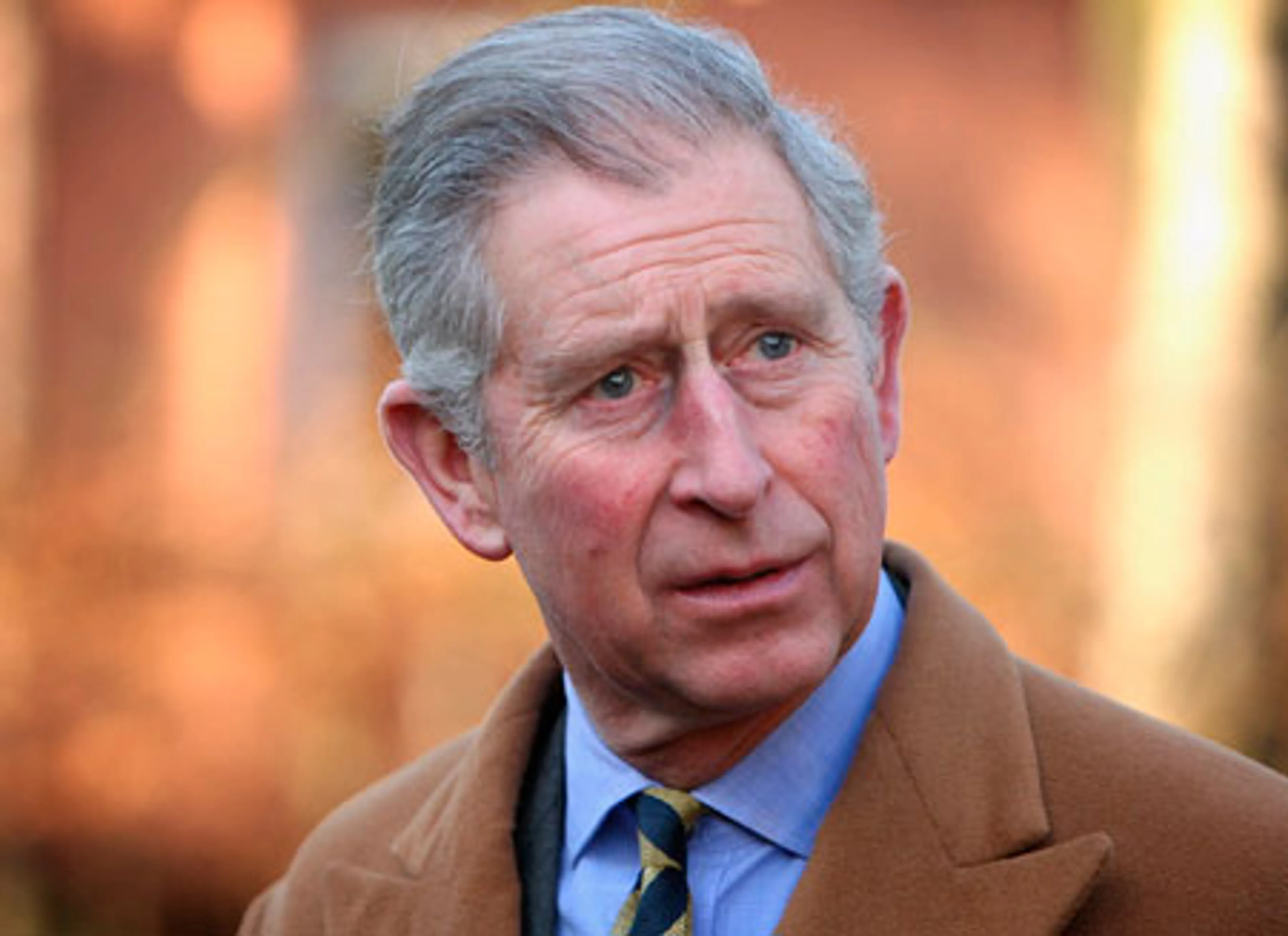 Капитал - Принца Чарльза подозревают в неуплате налогов