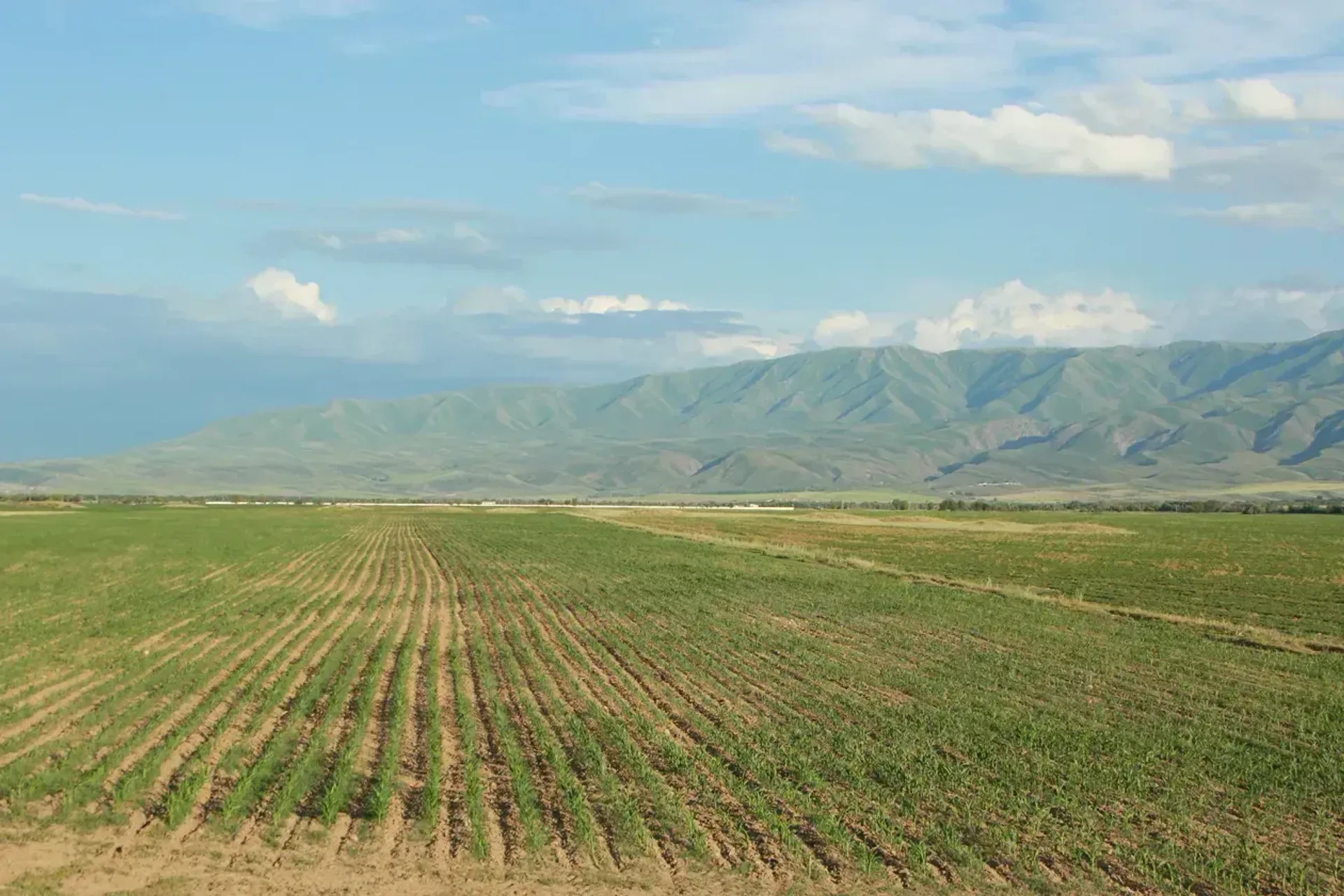 Фото: Руслан Пряников