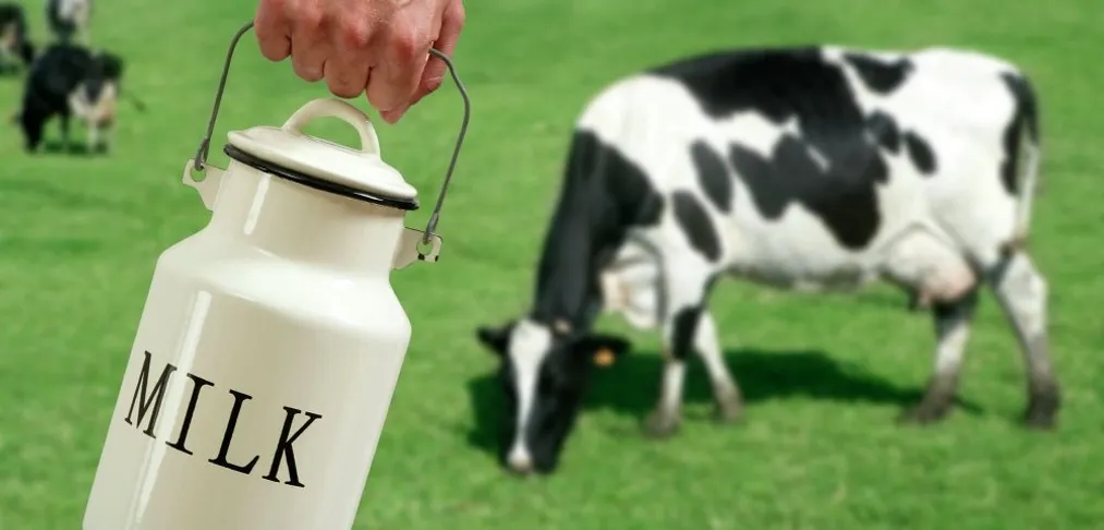 Капитал - Сколько потеряла Латвия из-за санкций против России?