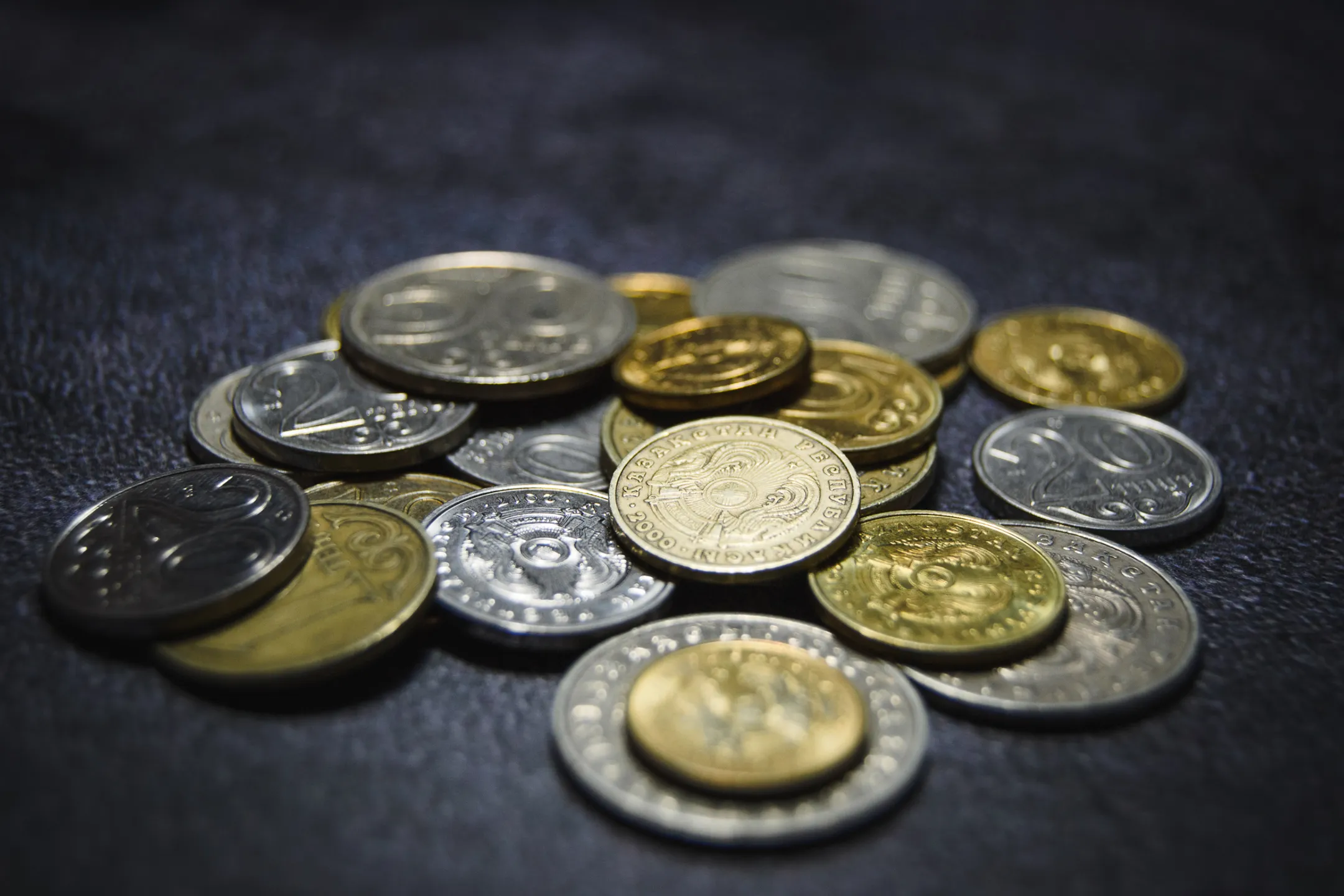 Фото: Валерия Змейкова