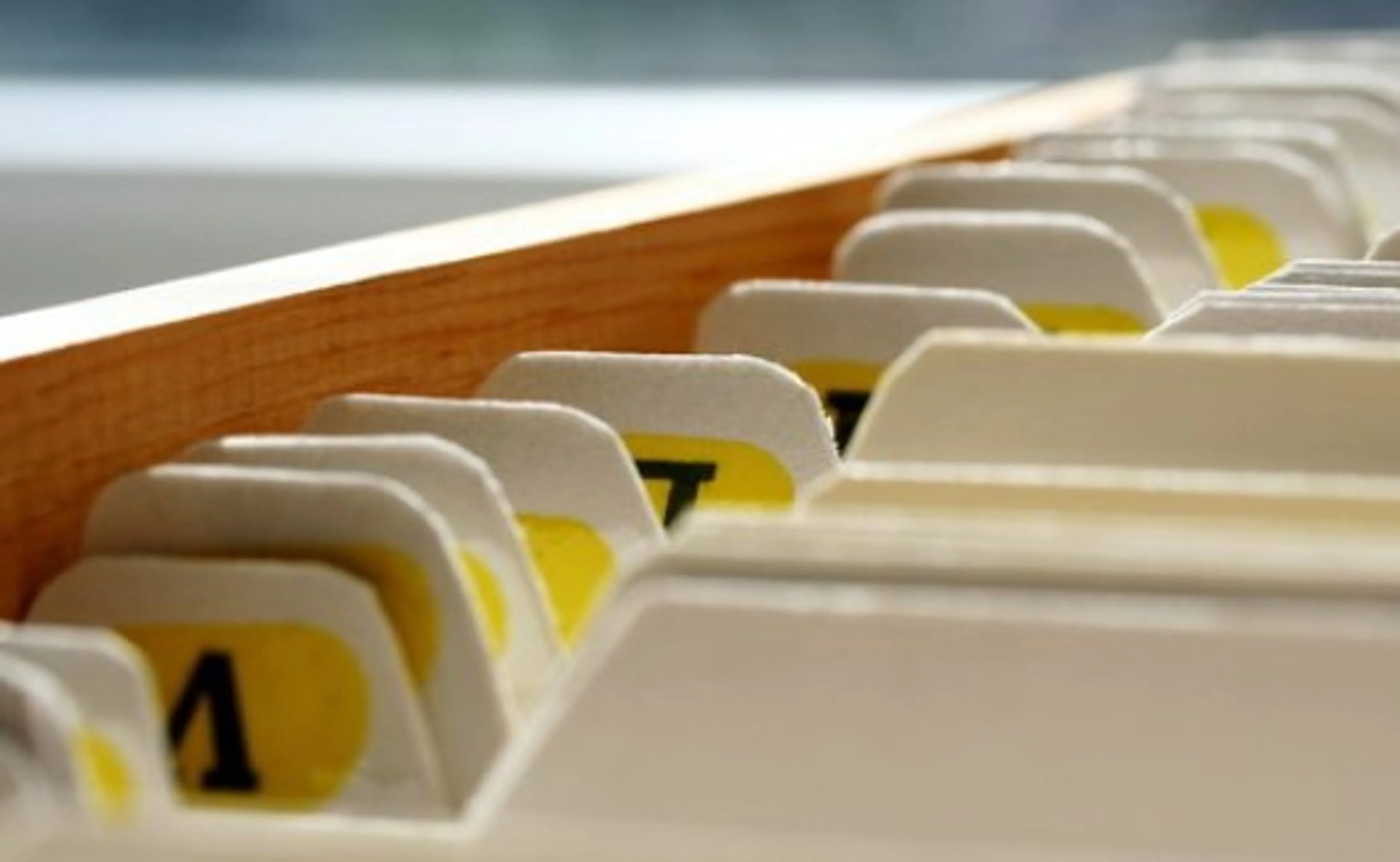 Капитал - Е-статистику запустят в конце года