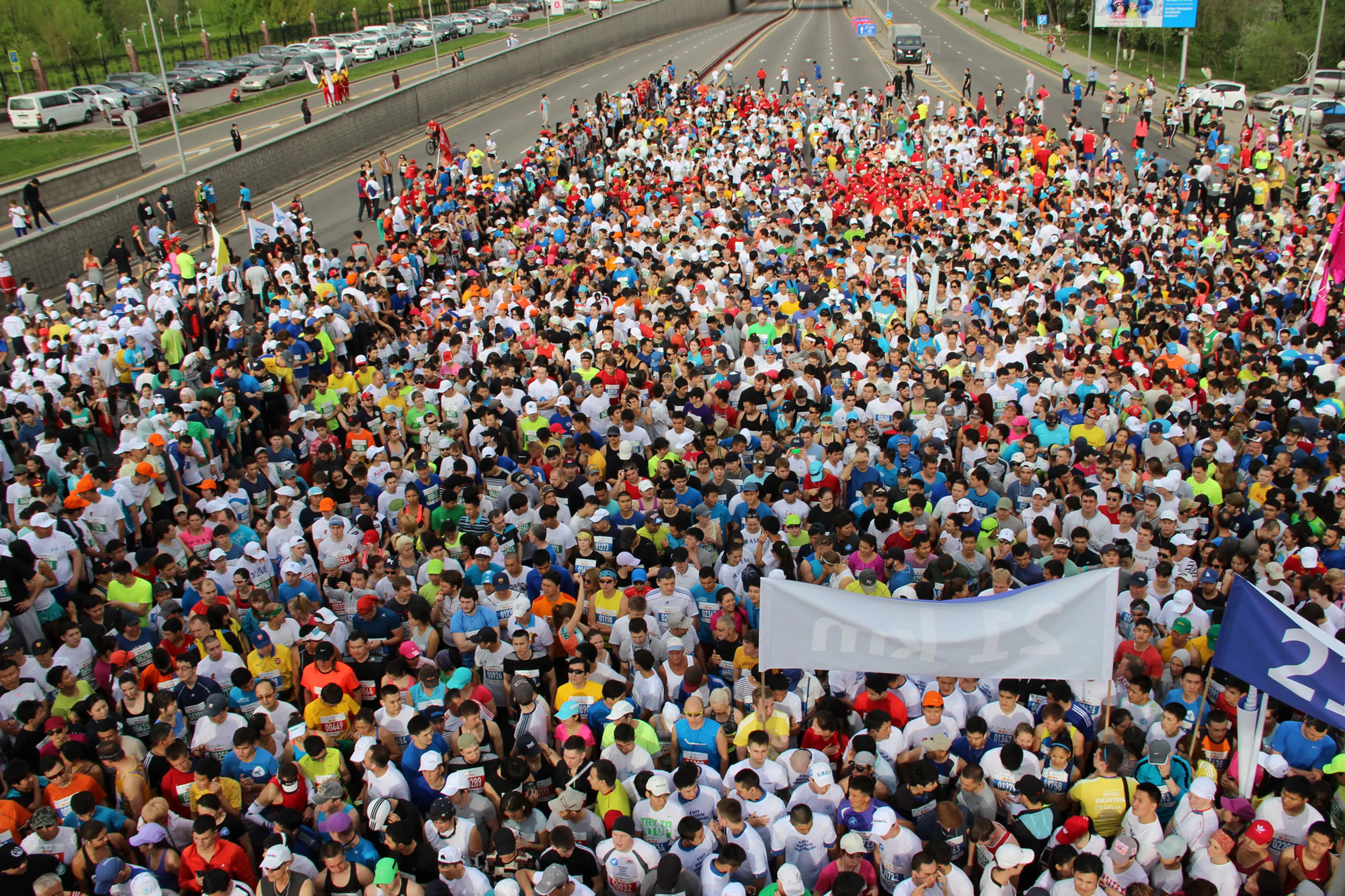 Капитал - Число участников Марафона-2015 побило рекорд прошлого года