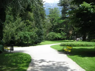 Капитал - Озеленением улиц Шымкента займутся зарубежные специалисты