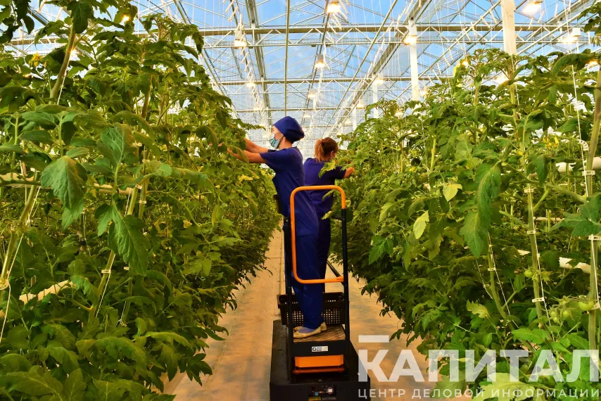 Капитал - Капвложения в сфере АПК достигли 981 млрд тенге