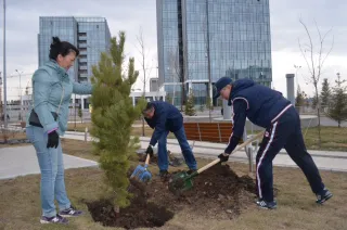 Капитал - Возле объектов ЭКСПО высажено свыше 200 саженцев