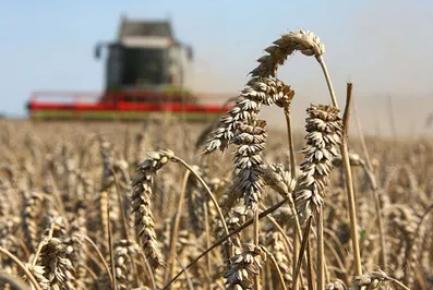 Казагромаркетинг одобрил удешевление 233 договоров займа