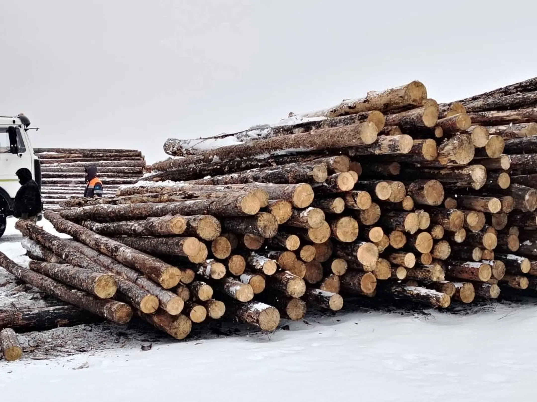 Изображение Kapital.kz