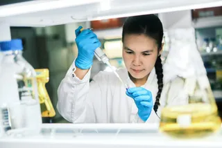 Фото из архива NU