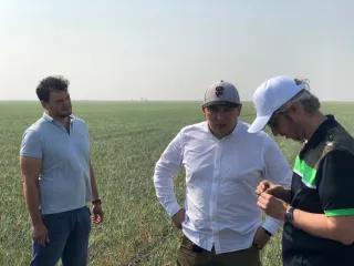 Капитал - Как застраховать посевы от засухи