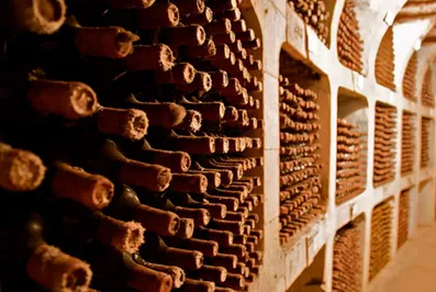 Миру грозит дефицит вина