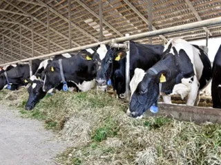 Капитал - Фермерам выдали кредитов на 28 млрд. тенге